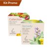 Click Cafe Tisane Biologiche | Box 2 Astucci Mix Tisane Dell'Orto Con Tisana Di Salvia E Limone